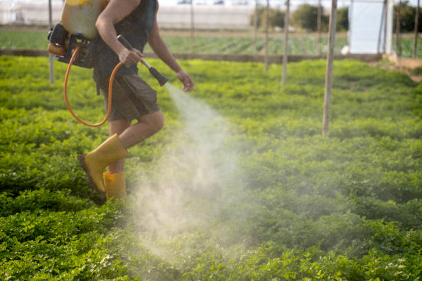 Best Commercial Pest Control Services  in Mar Mac, NC