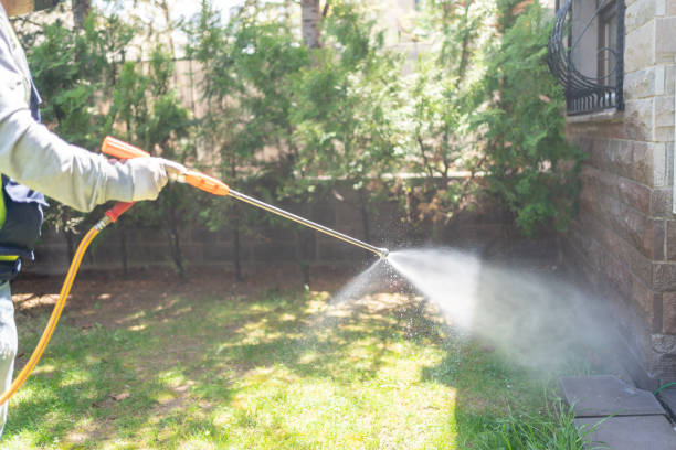 Best Local Pest Control Services  in Mar Mac, NC