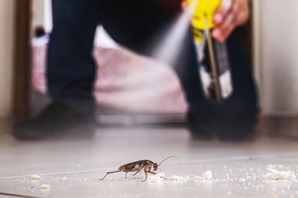 Pest Control Cost in Mar Mac, NC