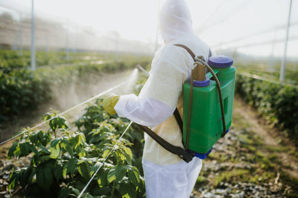 Mar Mac, NC Pest Control Company